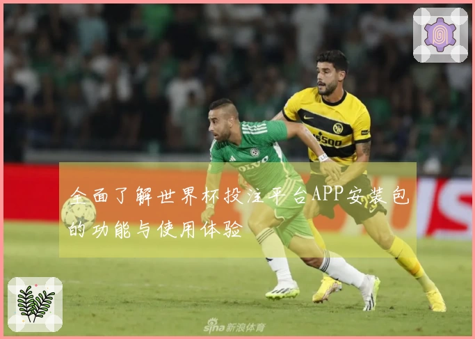 全面了解世界杯投注平台APP安装包的功能与使用体验