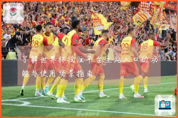 了解世界杯投注平台主站入口的功能与使用场景指南