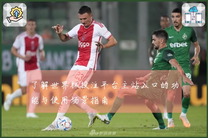 了解世界杯投注平台主站入口的功能与使用场景指南