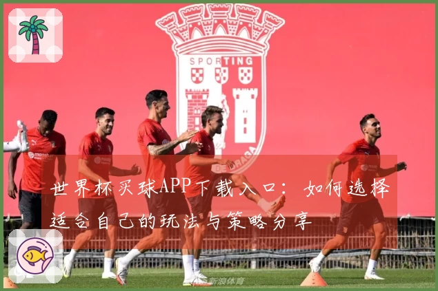 世界杯买球APP下载入口：如何选择适合自己的玩法与策略分享