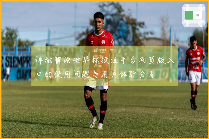 详细解读世界杯投注平台网页版入口的使用问题与用户体验分享