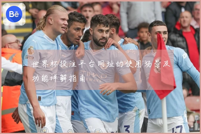 世界杯投注平台网址的使用场景及功能详解指南